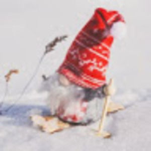 Meet your Posher, Audrey